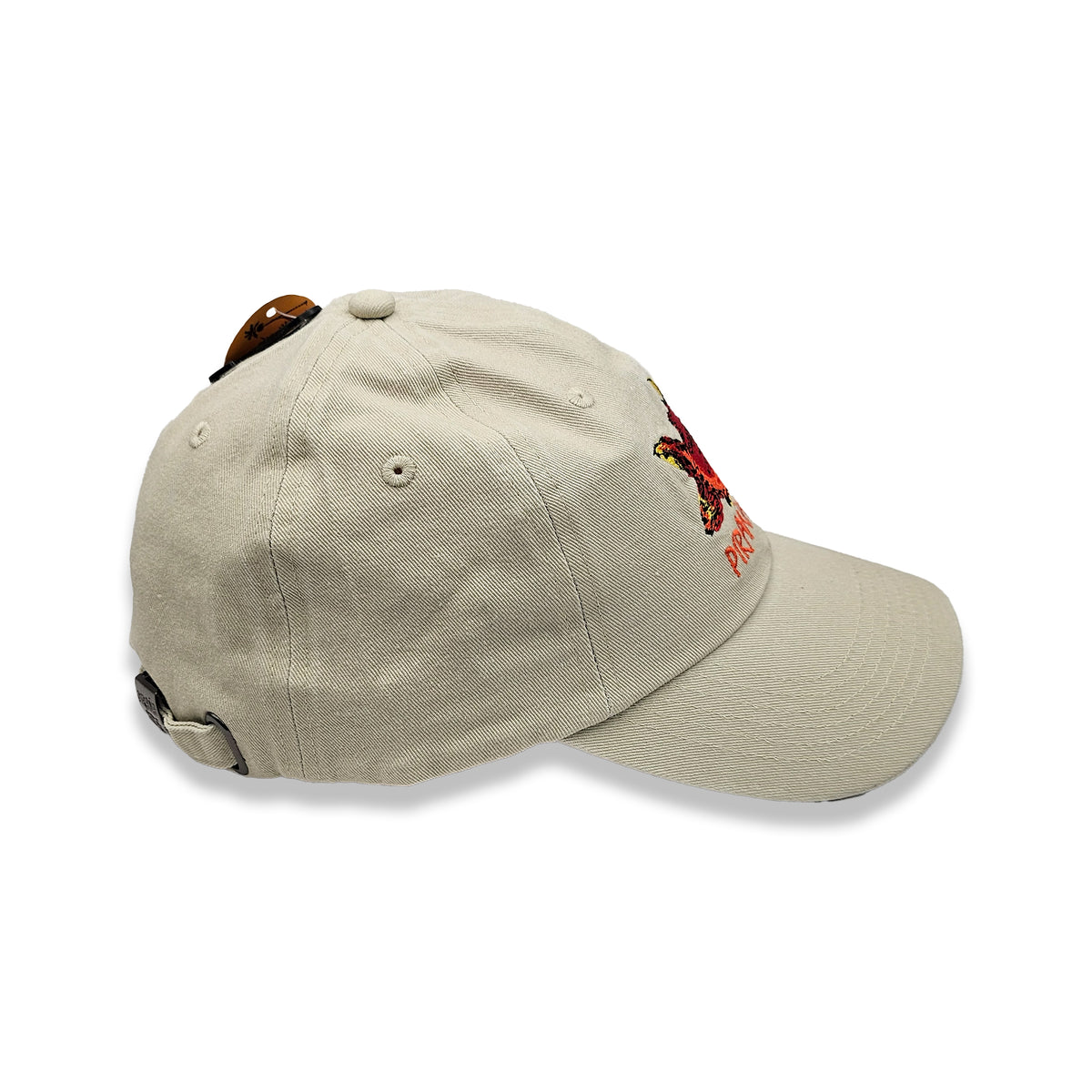 Washed Sand Adult Cap